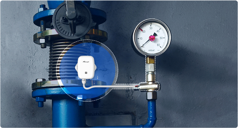 Ranheat Monitor Pulse Counter