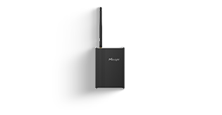 Ranheat Monitor IoT Controller